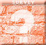 How can Survey's help you?